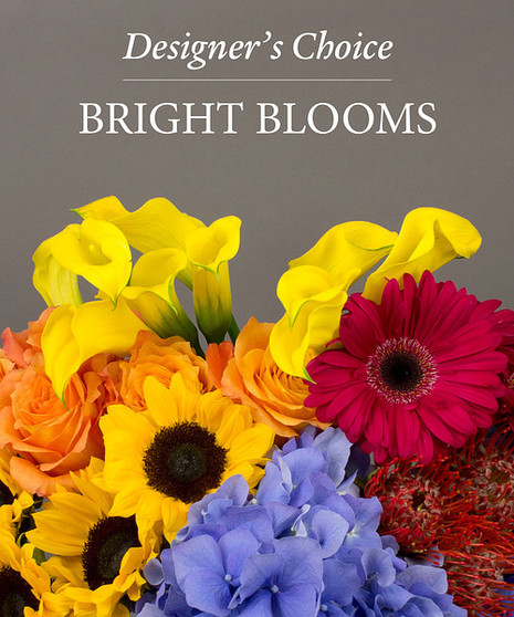 Designer's Choice- Bright Blooms