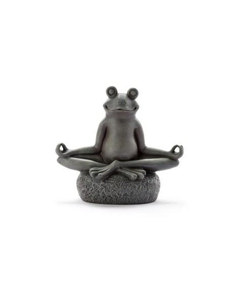 Yoga Frog on Rock