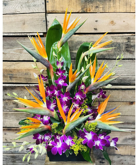 Birds of paradise and purple dendrobiums in modern design